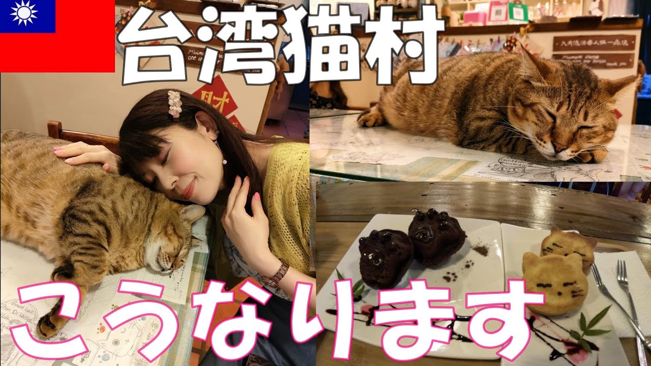 台湾の猫村といわれる猴硐ホウトンへ猫好きが行ったらヤバかった！