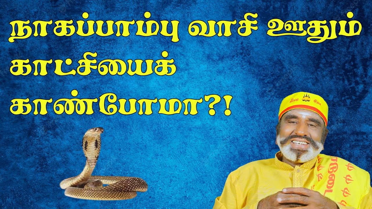 நாகப்பாம்பு வாசி ஊதும் காட்சியைக் காண்போமா?! | KAVANAGAR KARJANAI