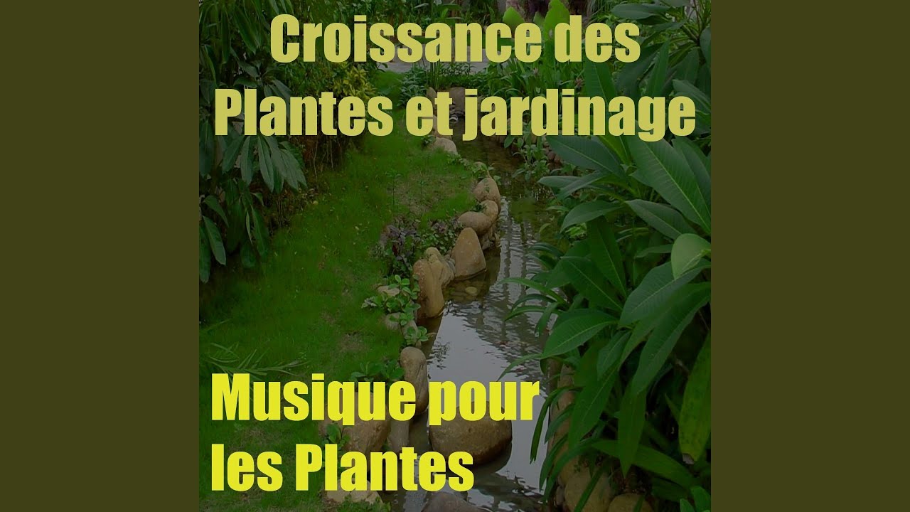Musique pour les plantes, vol. 13 (Croissance des plantes et jardinage)