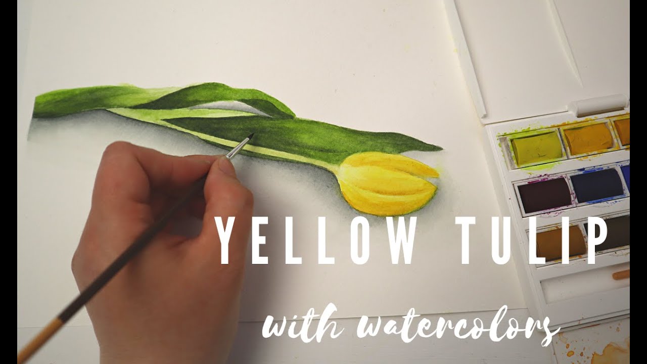Painting a yellow tulip | Watercolor painting time lapse
