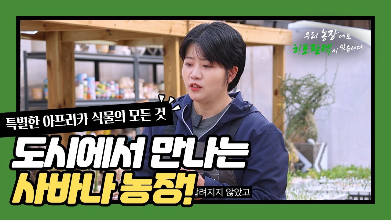 도시에서 만나는 사바나🌵특별한 아프리카 식물 & 커스텀 식재의 모든 것ㅣ우리 농장에도 히포팜텍이 있습니다 [사바나 농장]