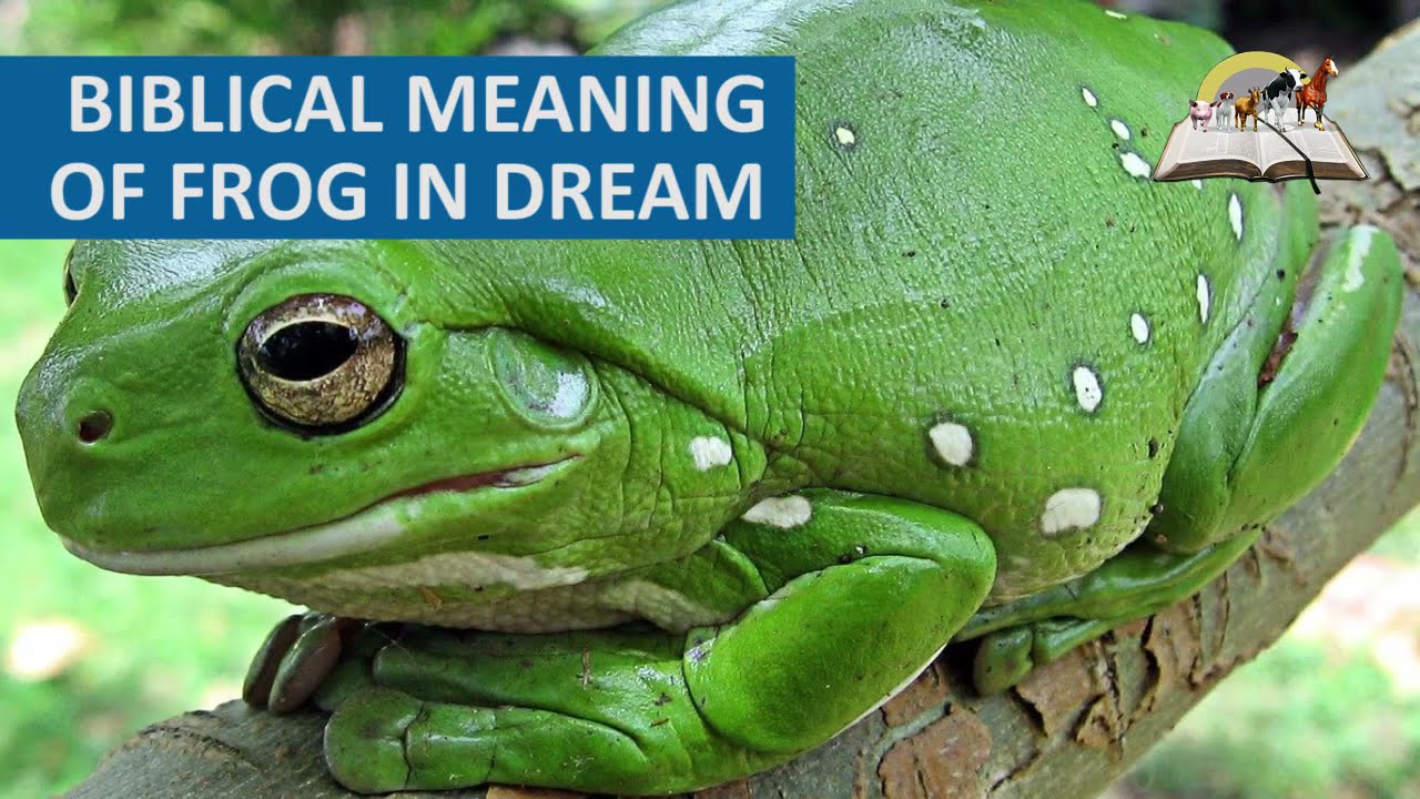 Biblical Meaning Of FROGS in Dreams - Evangelist Joshua TV