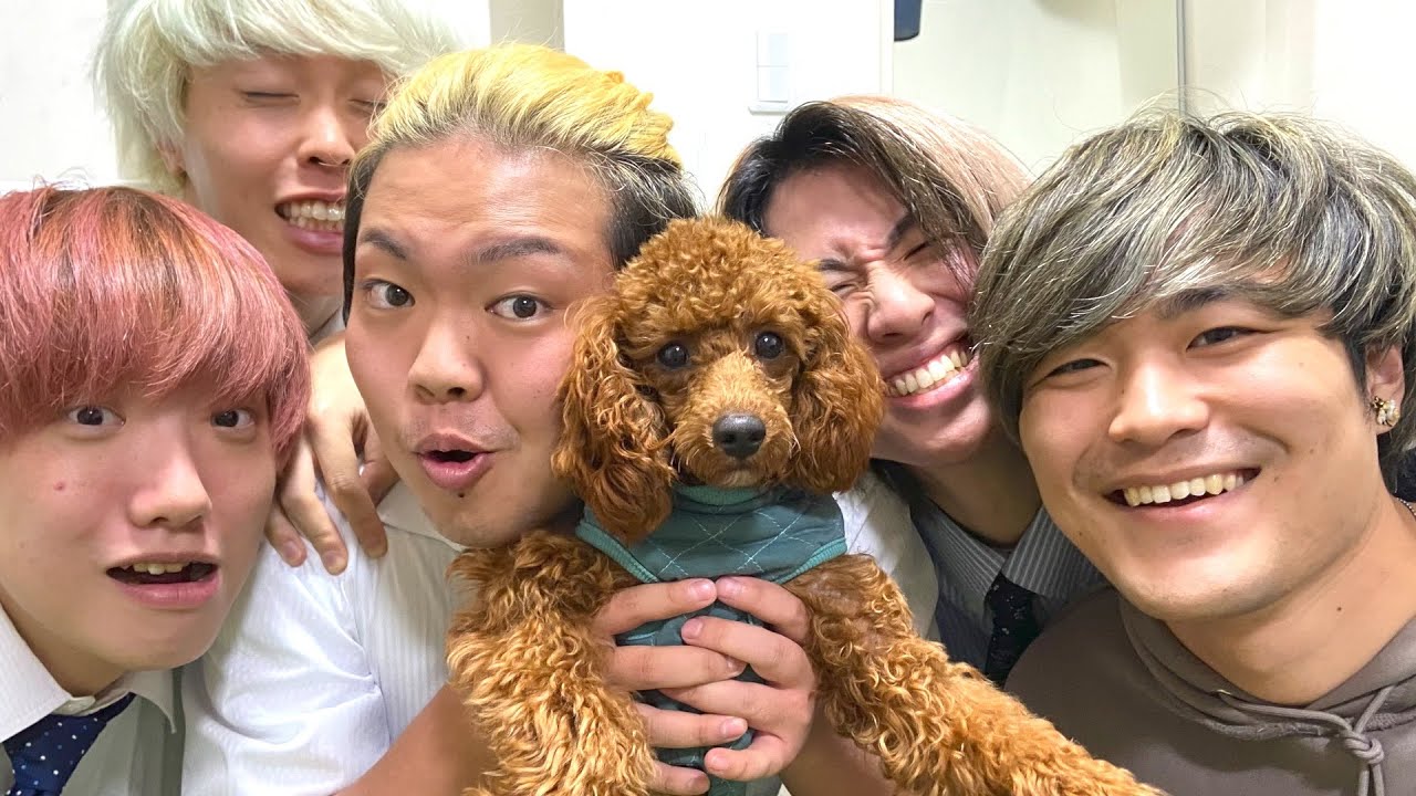 新しい家族が増えました