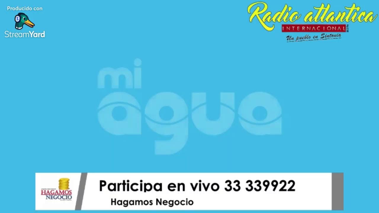 Hagamos Negocio con Virginia Guardia M.  Programa netamente Comercial