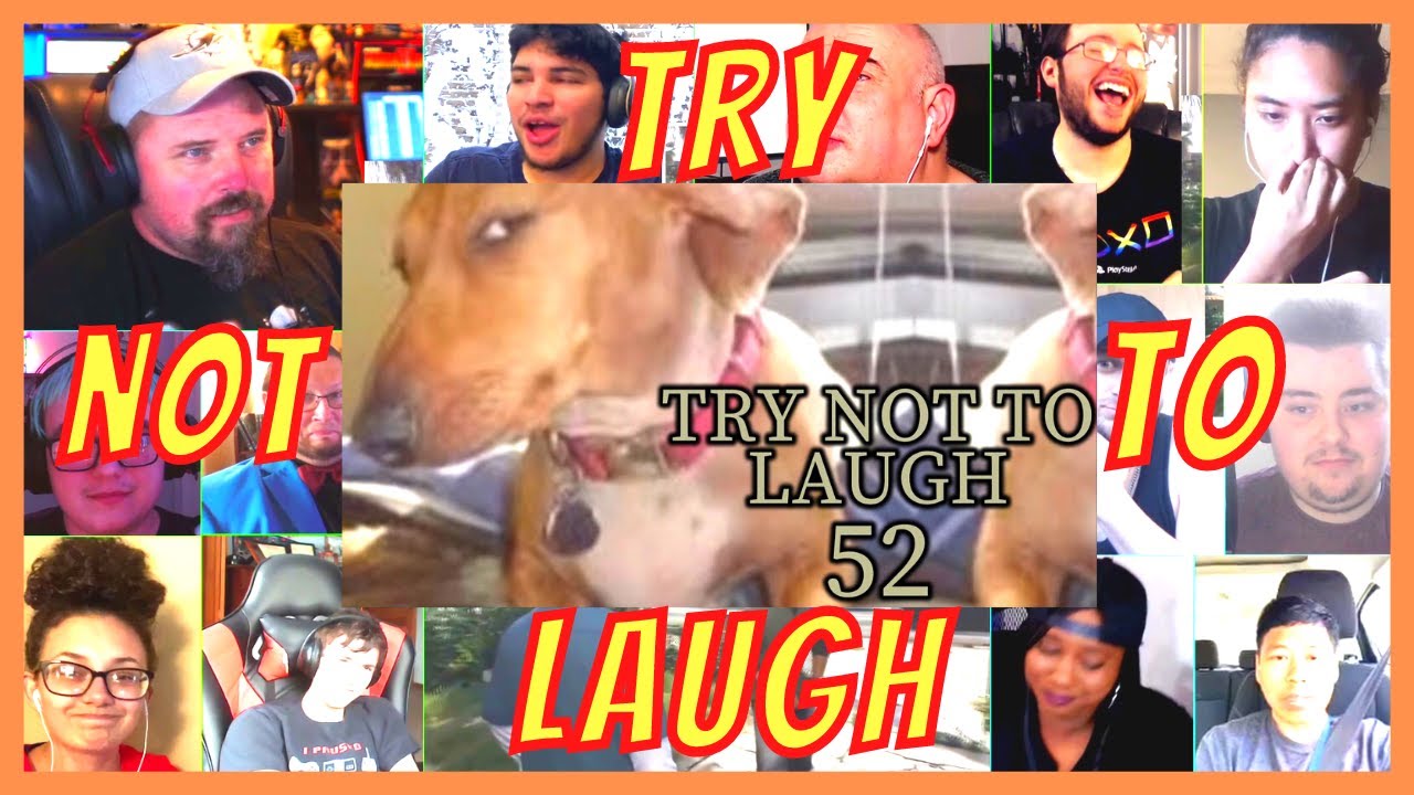 TRY NOT TO LAUGH CHALLENGE 52 - by AdikTheOne - REACTION MASHUP - [ACTION REACTION]