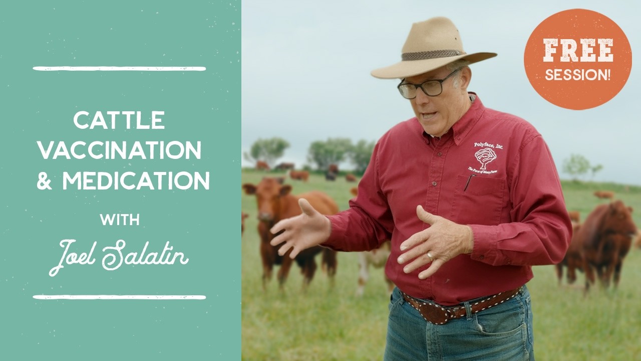 Why Joel Salatin Doesn't Vaccinate His Cattle