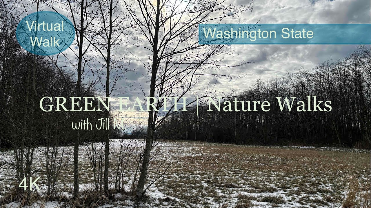 Walk on old Henry Rd, melting-icy snow, February