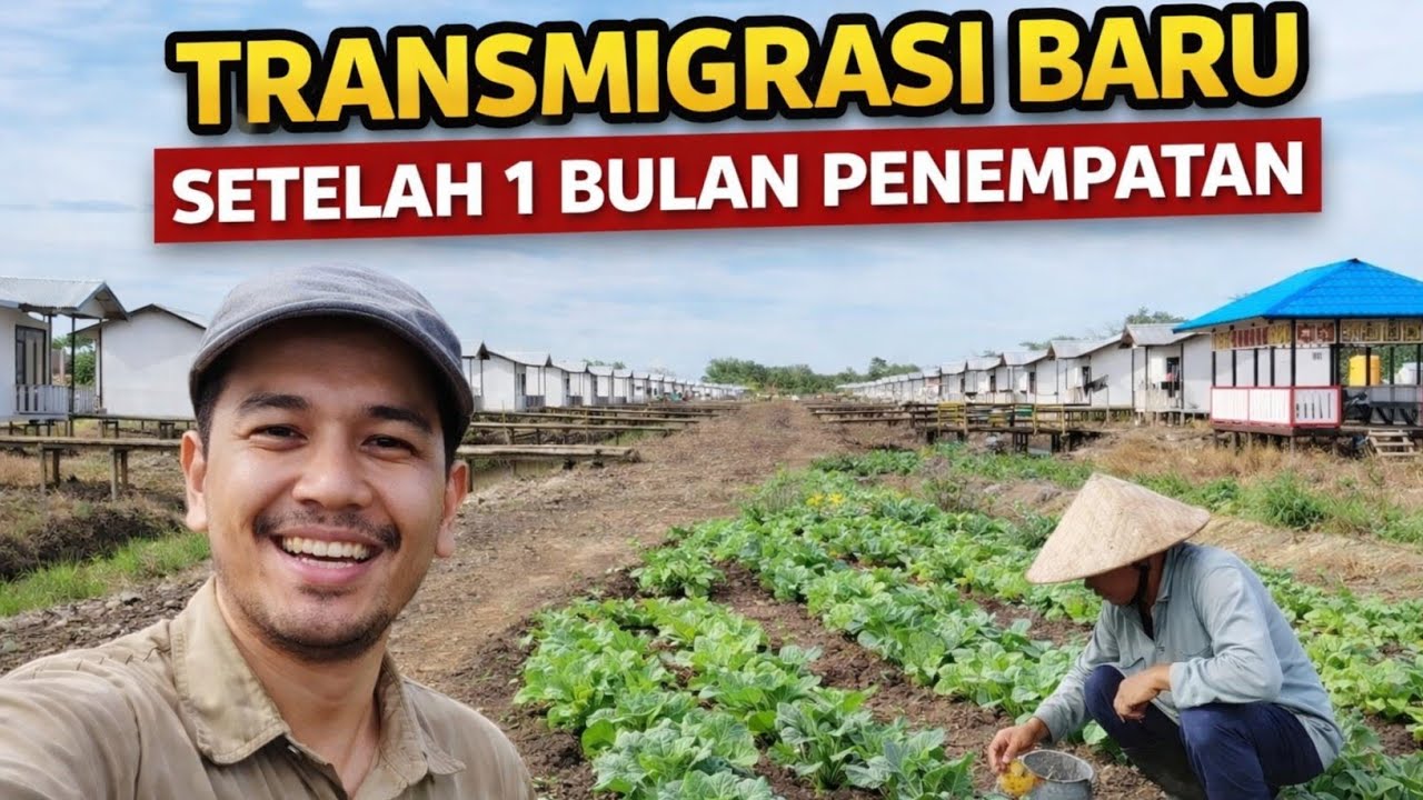 KONDISI TERKINI TRANSMIGRASI BARU SP 10 KALIMANTAN UTARA SETELAH 1 BULAN PENEMPATAN