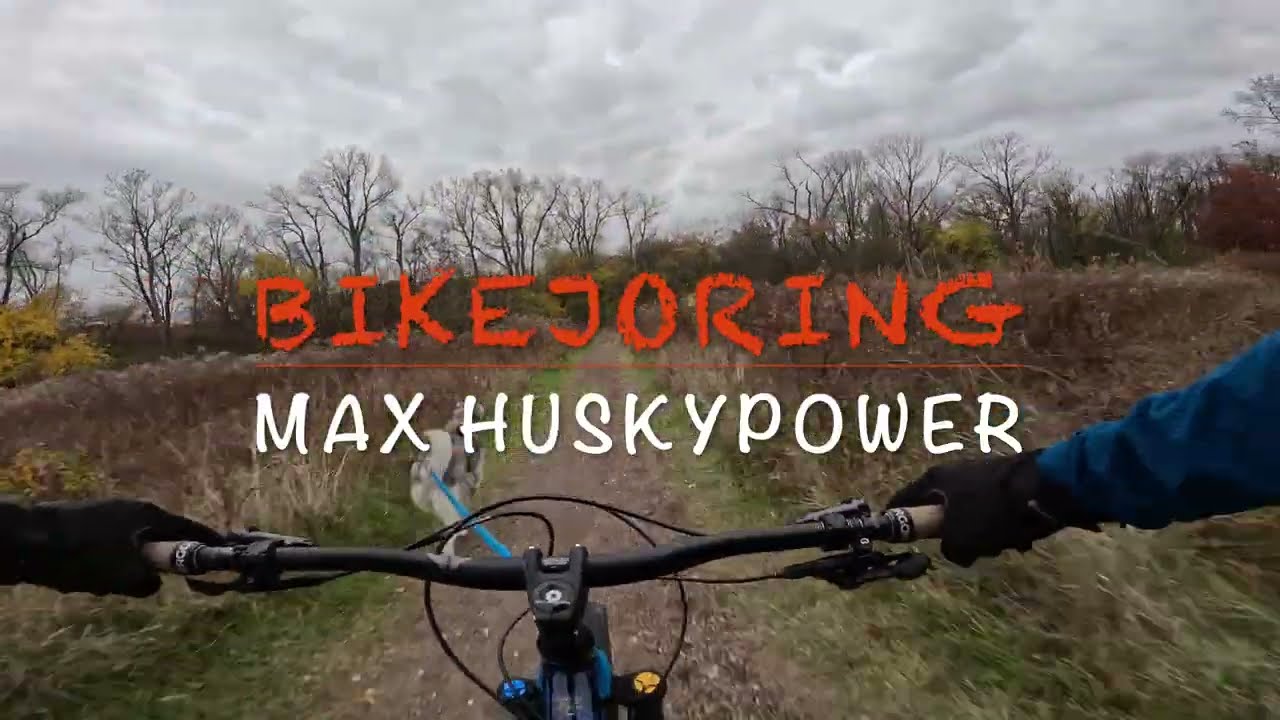 Bikejoring Fun with huskies in Autumn