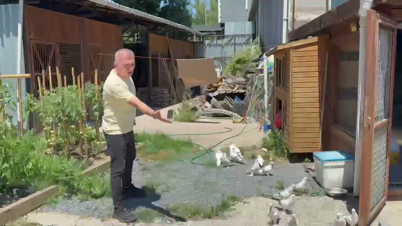 YUSUFİ GÜVERCİN CENNETİNE HOŞGELDİNİZ 🌟🌟🌟