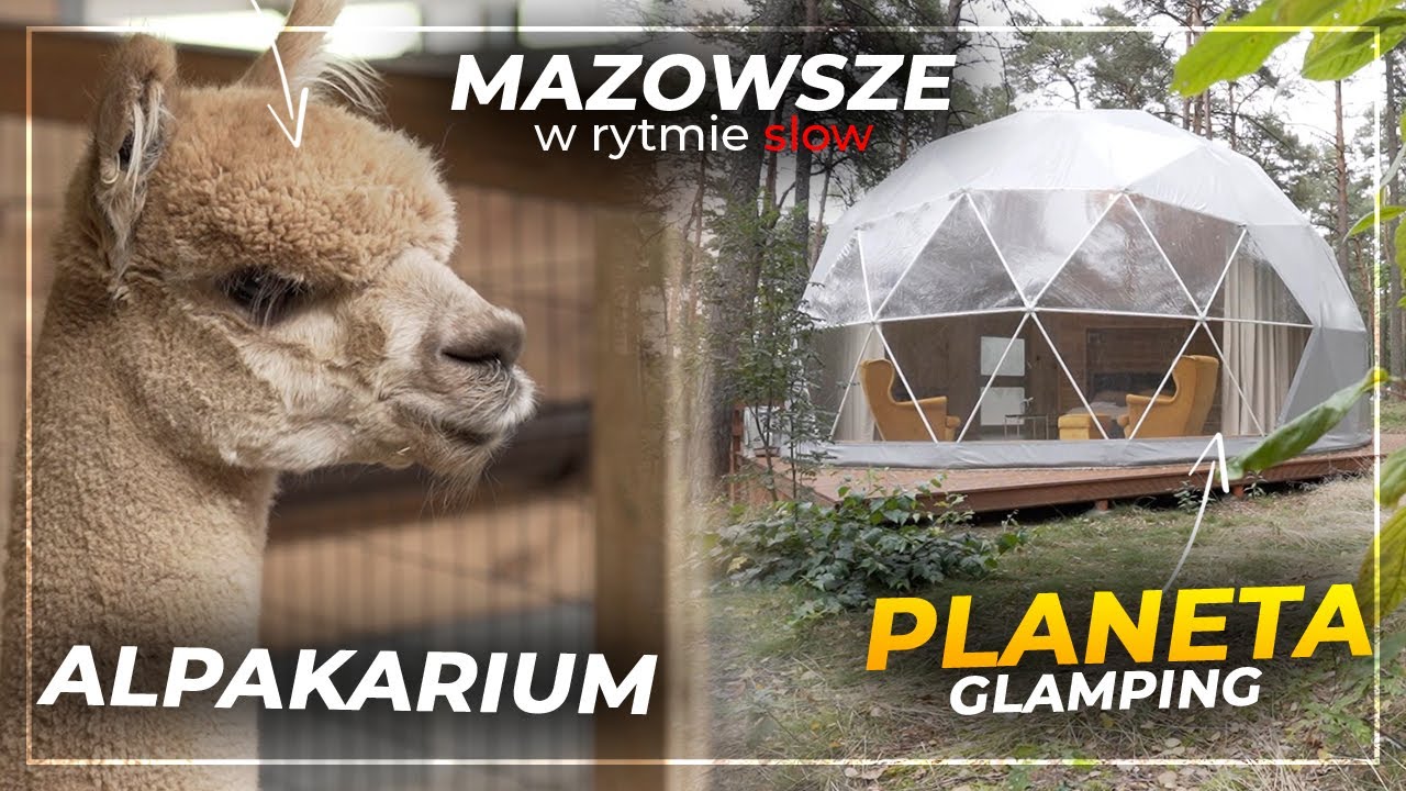 Alpakarium & Planeta Glamping l Mazowsze w RYTMIE SLOW l ODCINEK 5