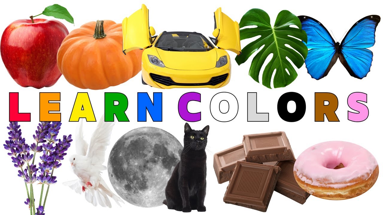 Learn 11 Colors with Song | Fun Colors Song for Kids