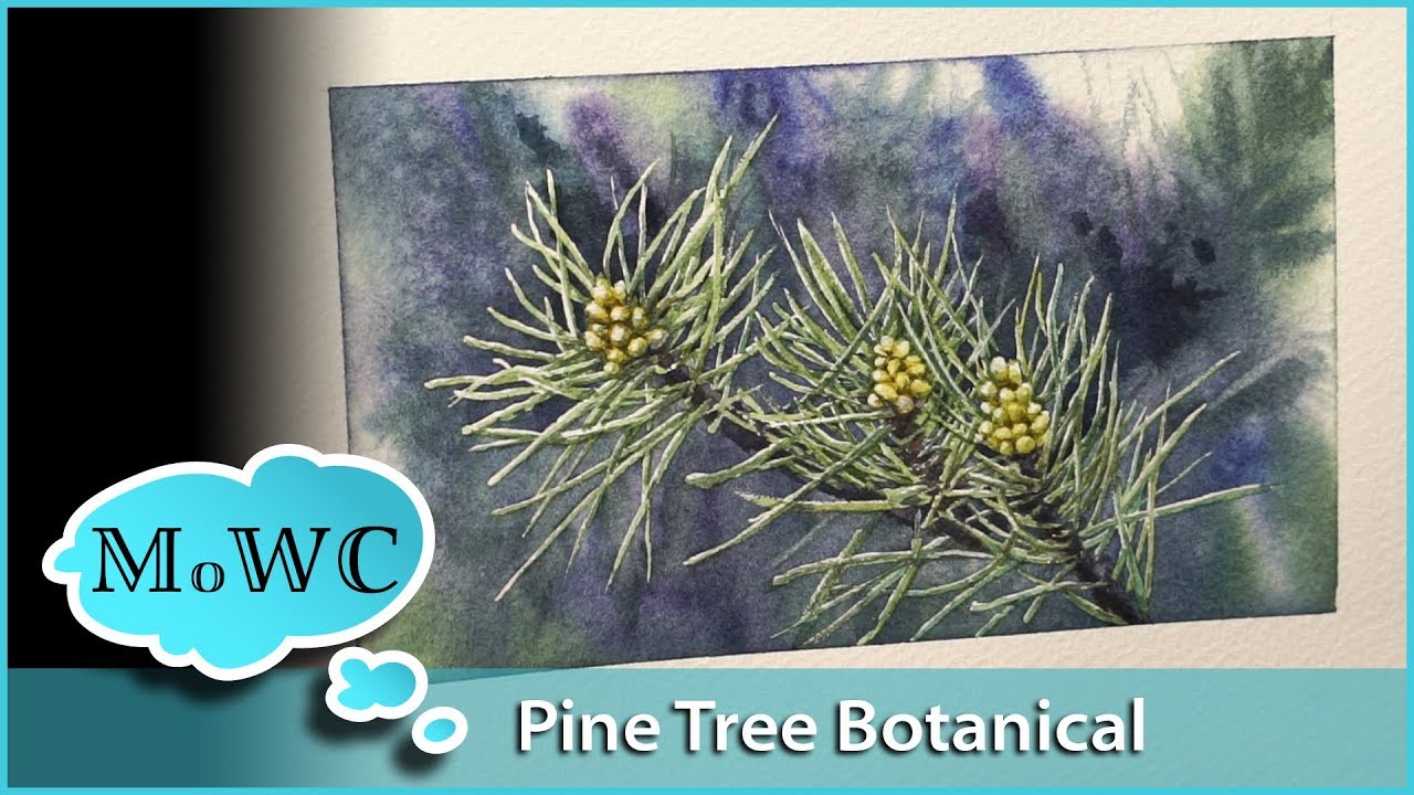 Pine Branch Botanical Watercolor Journaling – Kilimanjaro Paper