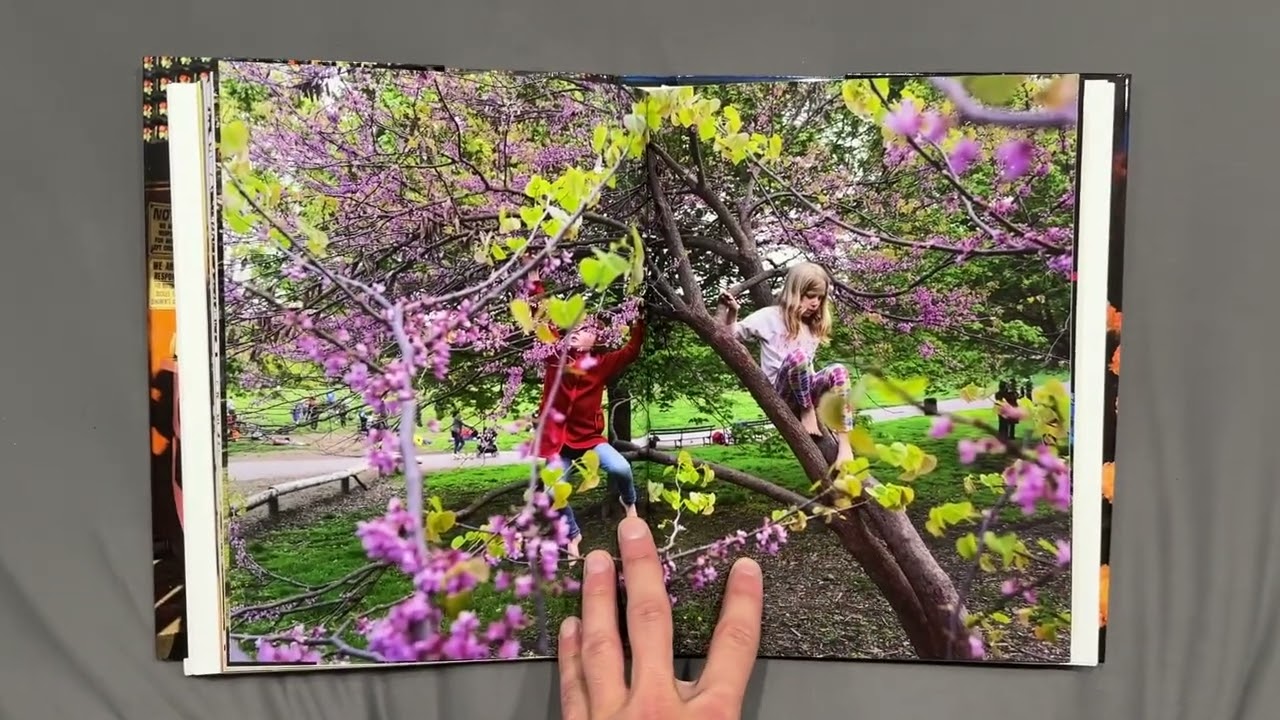 Alex Webb and Rebecca Norris Webb - Brooklyn, The City Within