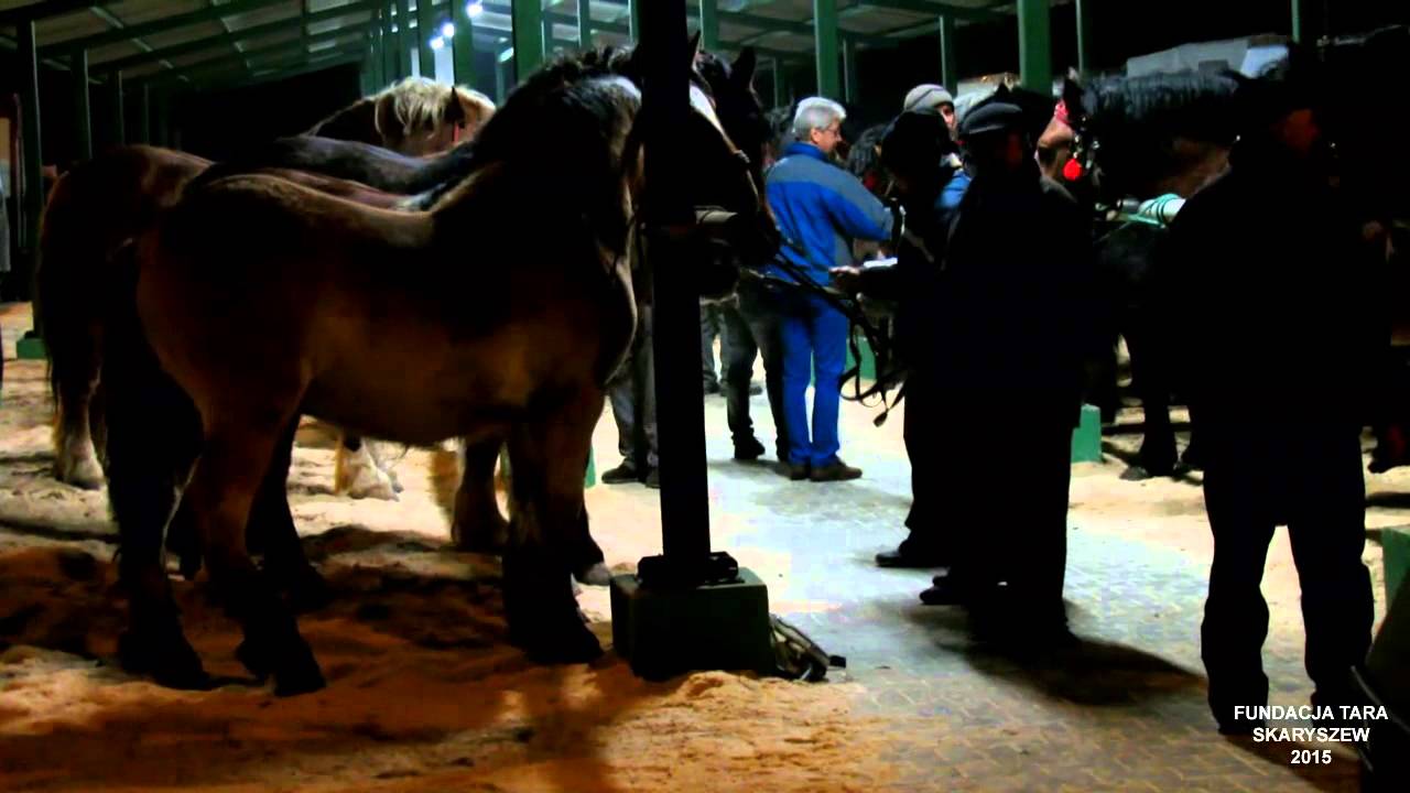 Skaryszew 2015 noc   cz 1