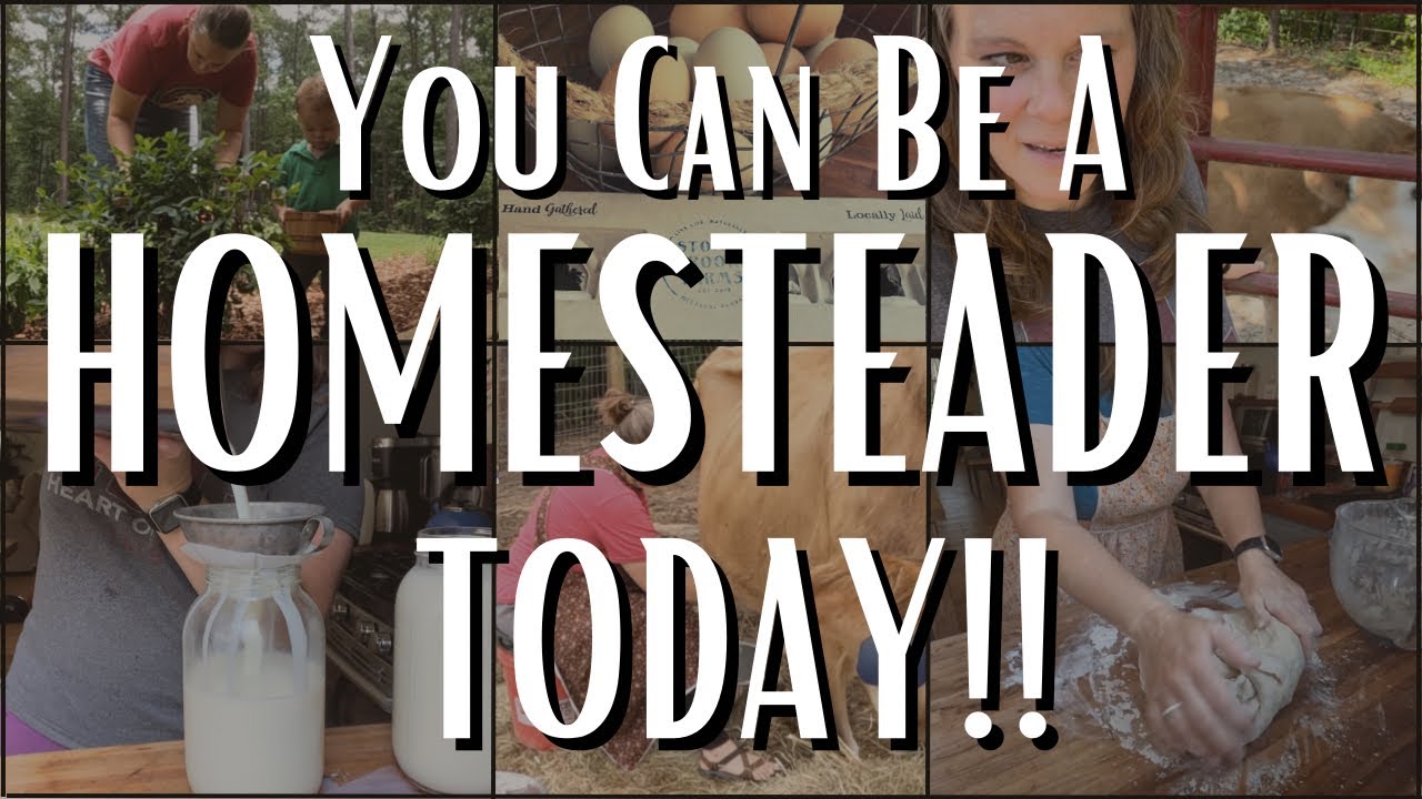 HOW TO BECOME A HOMESTEADER TODAY! DITL Homesteading Video Diary #homesteading #howto #dayinthelife