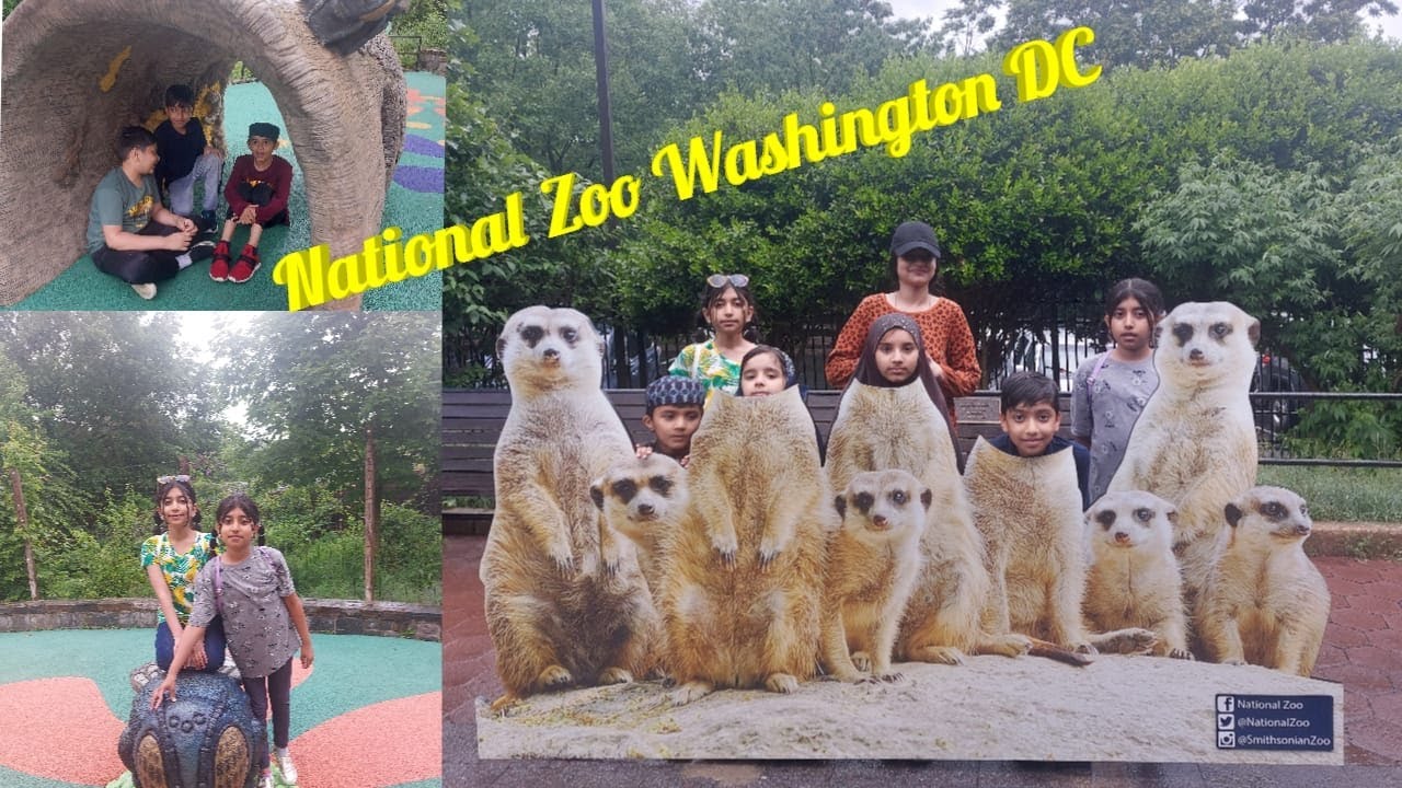 Picnic in Rainy Day || Visit to the Zoo || The National Zoo Washington DC