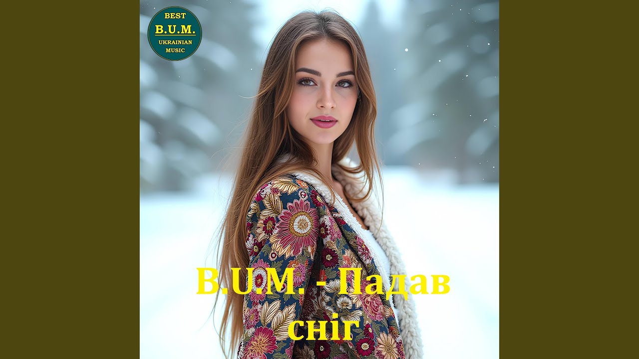 Падав сніг