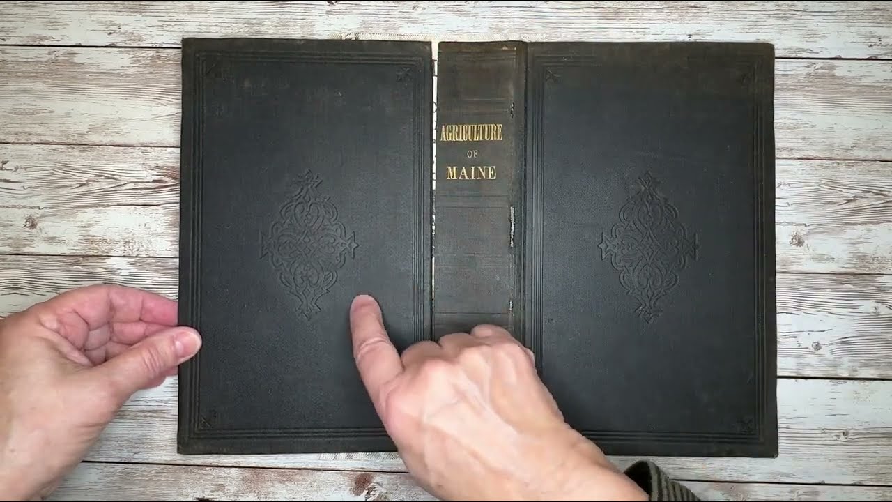 Expanding a Book Spine for your Journal | Tutorial