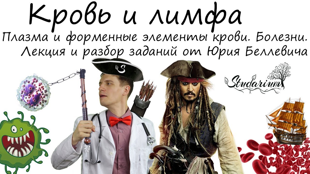 Кровь и лимфа. Эритроциты, лейкоциты, тромбоциты. Болезни. Лекция, разбор заданий от Юрия Беллевича