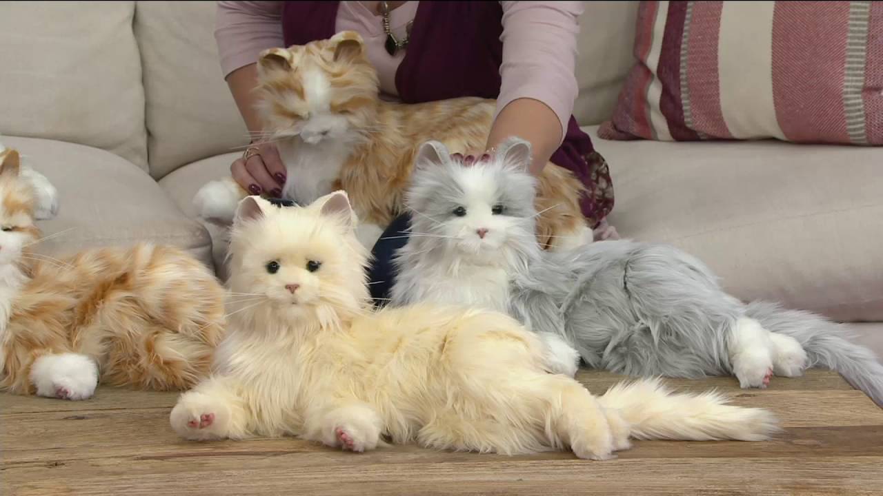 Hasbro's Lifelike Joy for All Companion Cat By: Hasbro on QVC