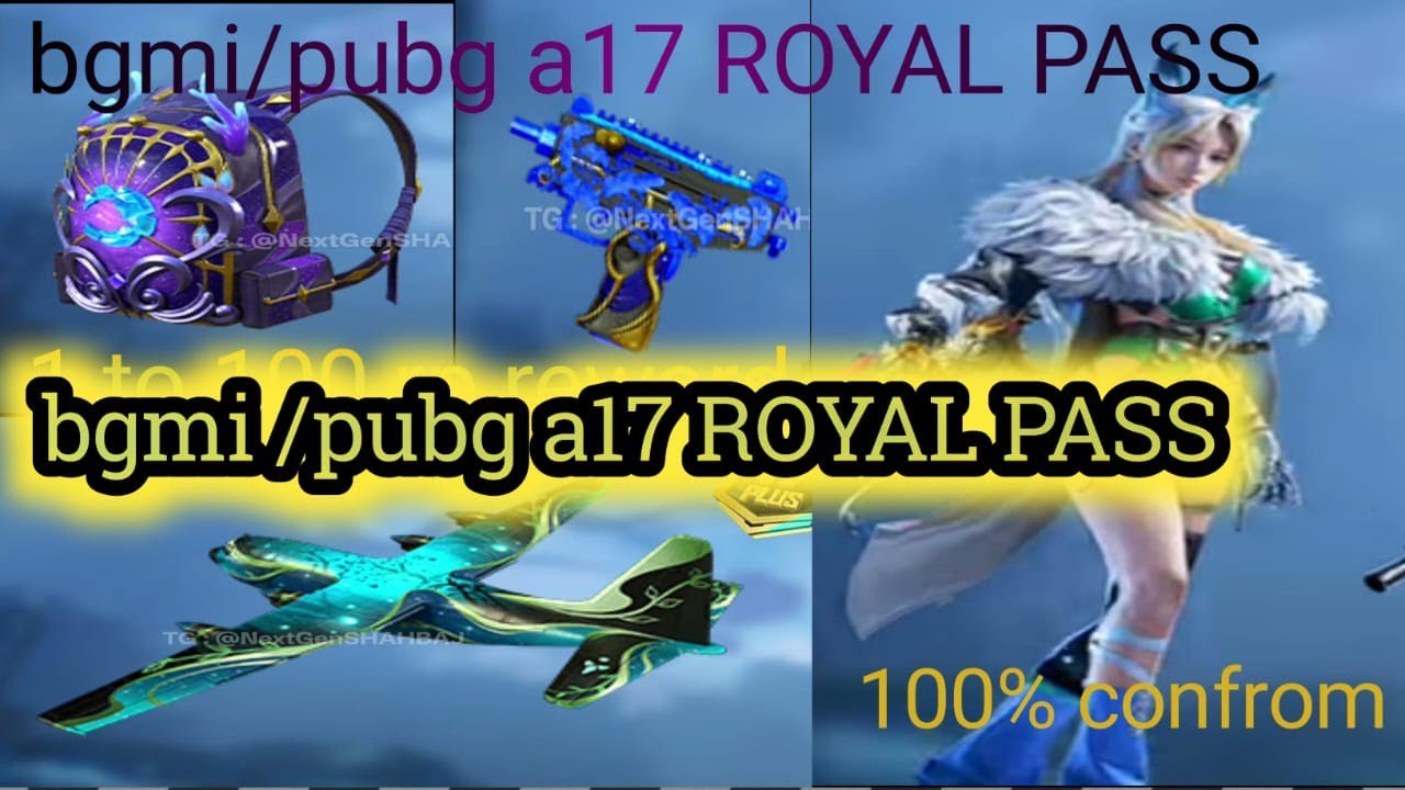 🤩A 17 Royal Pass Is Here | Next Bgmi Royal Pass | Next Royal Pass In Bgmi | PUBG a17 Royal Pass |
