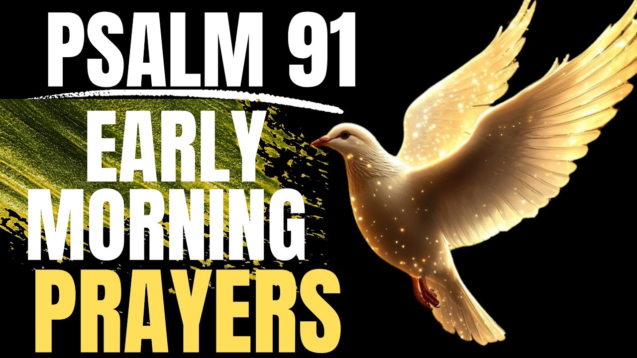 Утренние молитвы #молитва #вирусное #видео #исцеление #освобождение