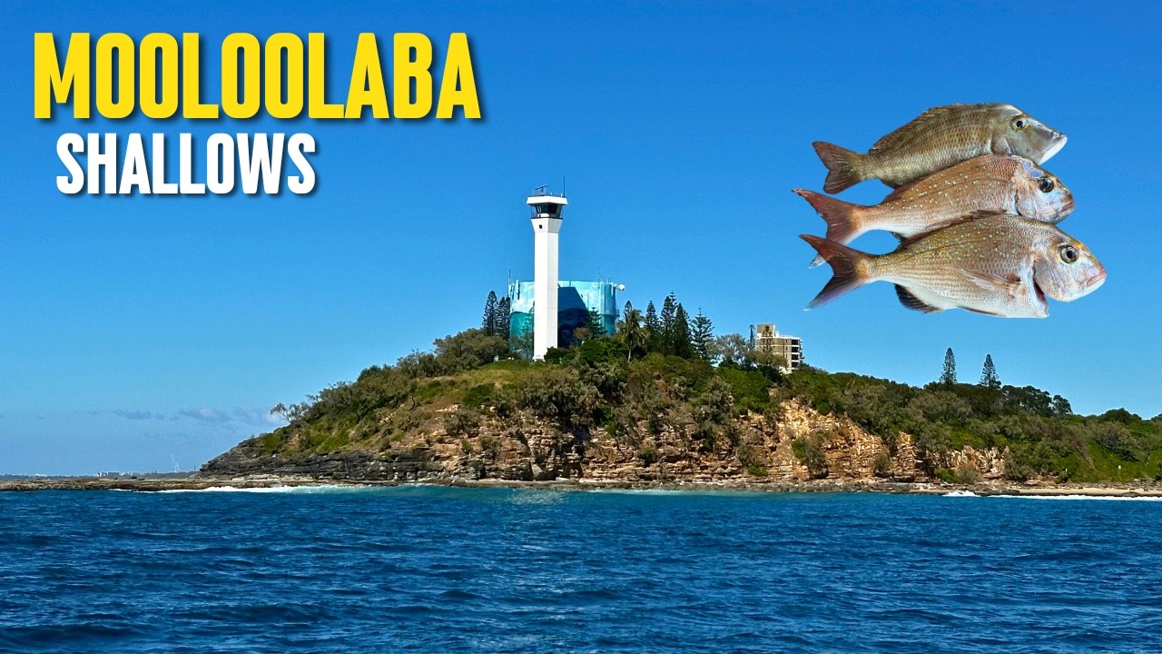 Mooloolaba Shallows