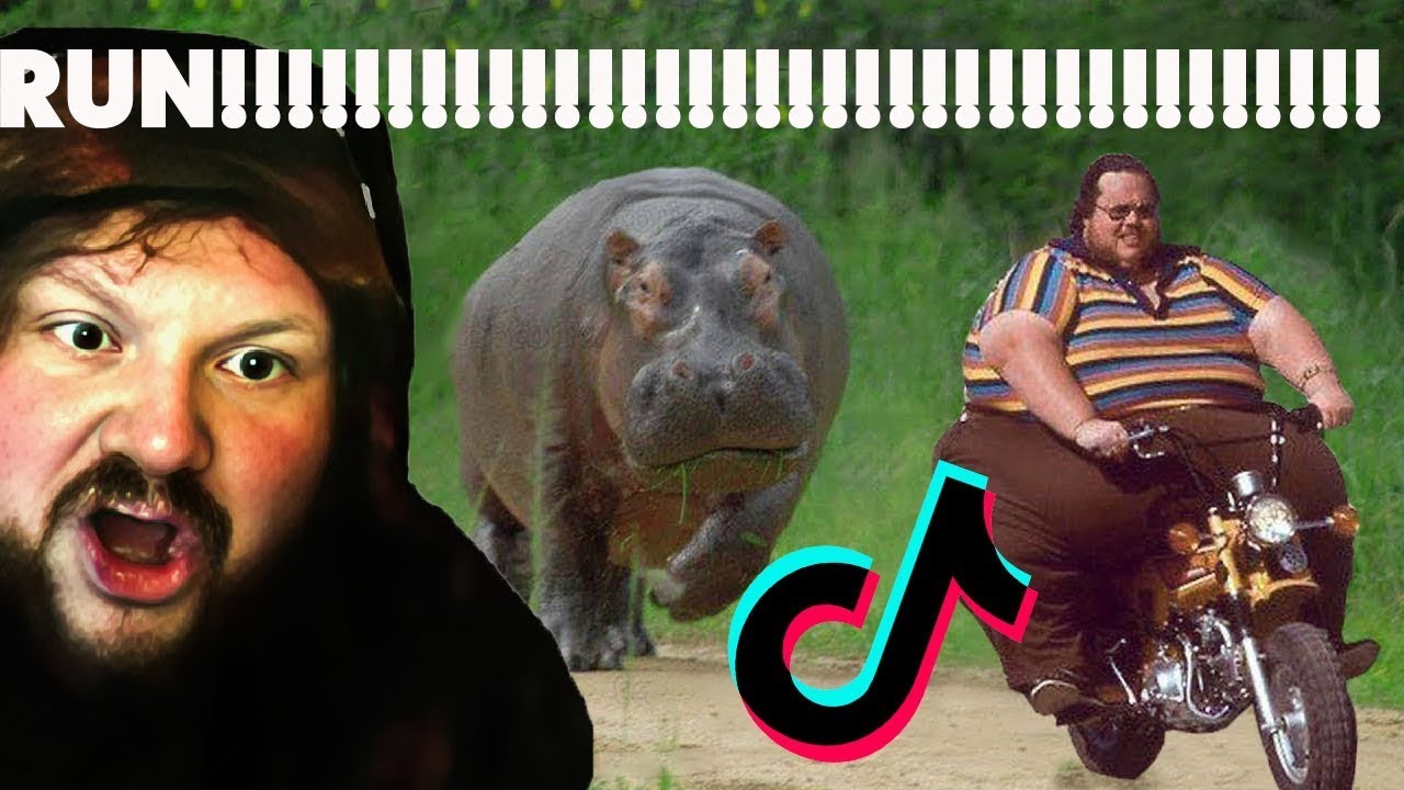 CaseOh Reacting to Funny Discord Media Caseoh Fans Create The Craziest Discord Group On The Internet