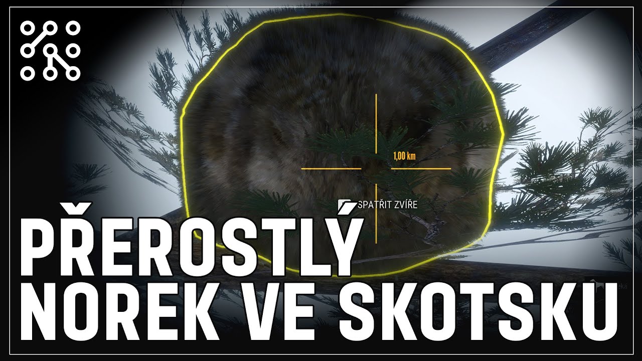 Jdeme po úkolech | theHunter: Call of the wild CZ |  Česky