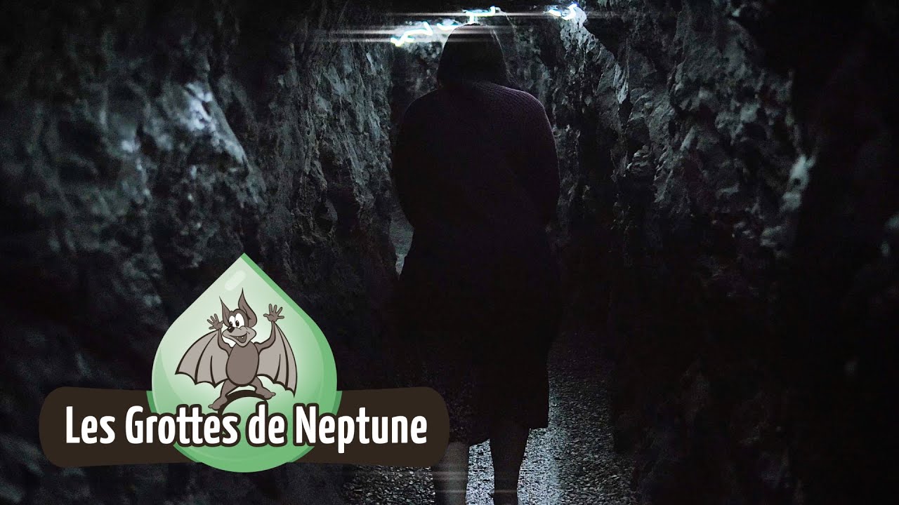 LES GROTTES DE NEPTUNE (BELGIQUE)