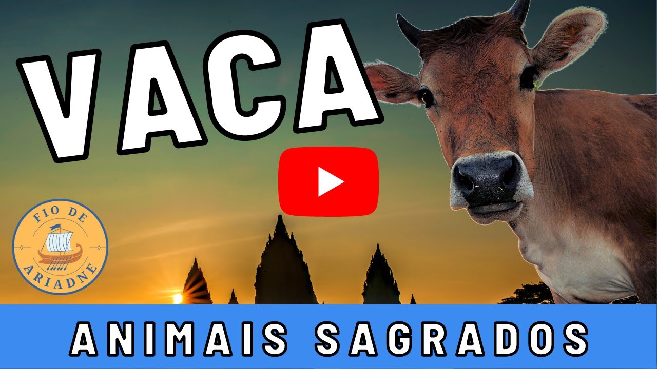 🐮 [ HINDUÍSMO ] POR QUE AS VACAS SÃO SAGRADAS NA ÍNDIA?