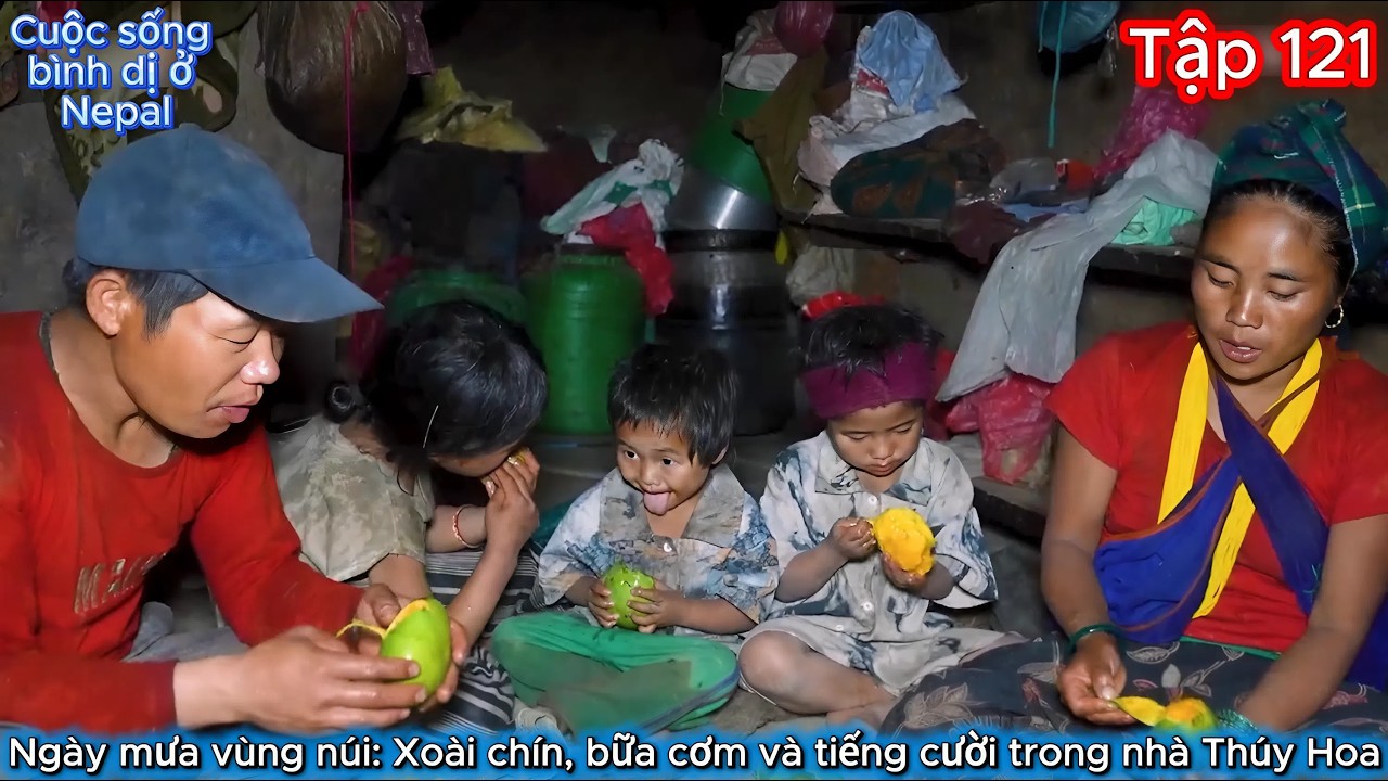 Thúy Hoa Tập 121 - Ngày mưa vùng núi: Xoài chín, bữa cơm và tiếng cười trong nhà Thúy Hoa