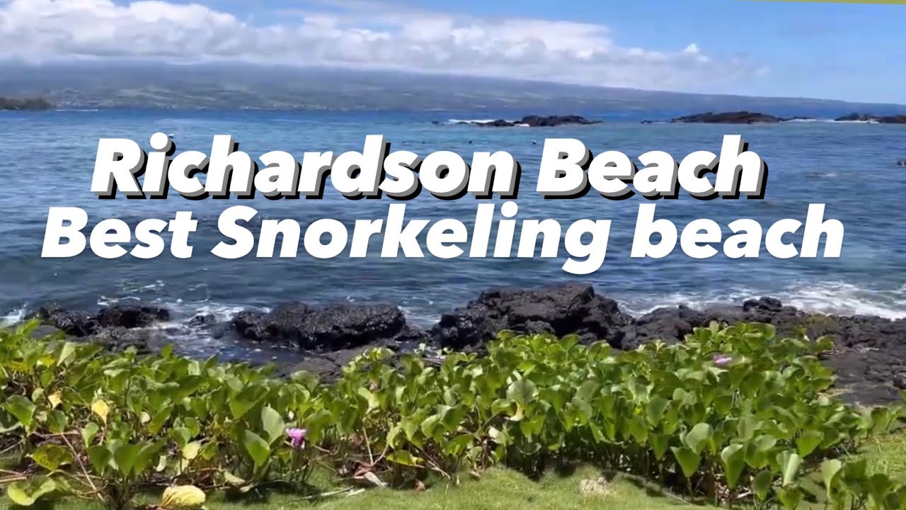 Richardson Ocean Park Beach Hilo Hawaii Big Island USA 2024