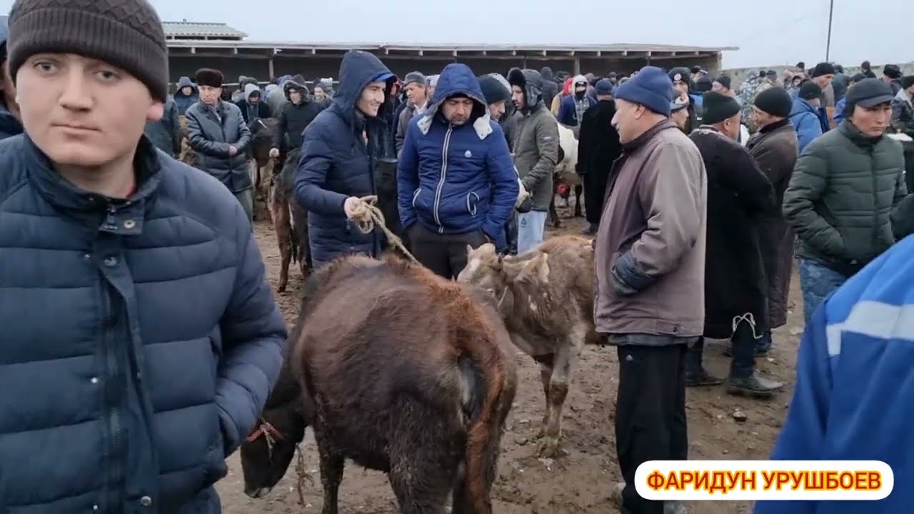 Чоршанбе бозори Шахристон бинет чигап шуд!