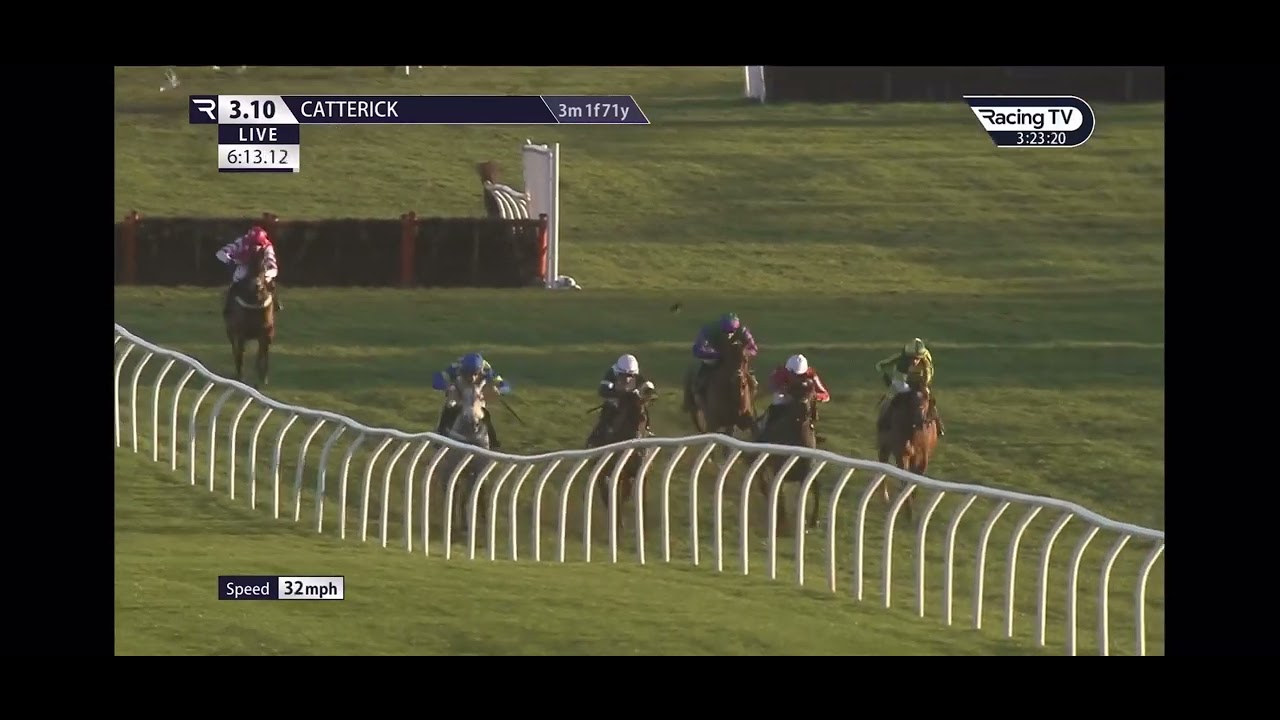 Catterick Races - 13/01/22 - Art of Diplomacy 1st place