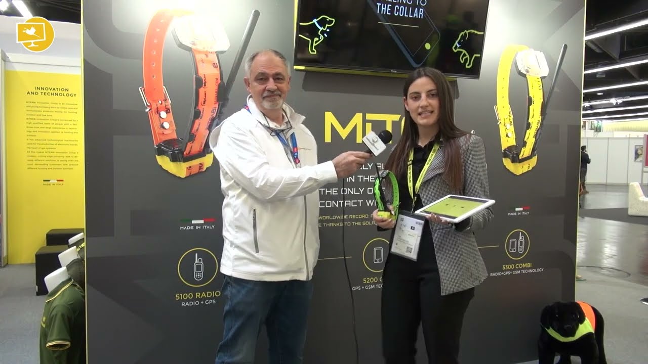 BiTraBi - IWA 22 - Collari Serie Mito 5000