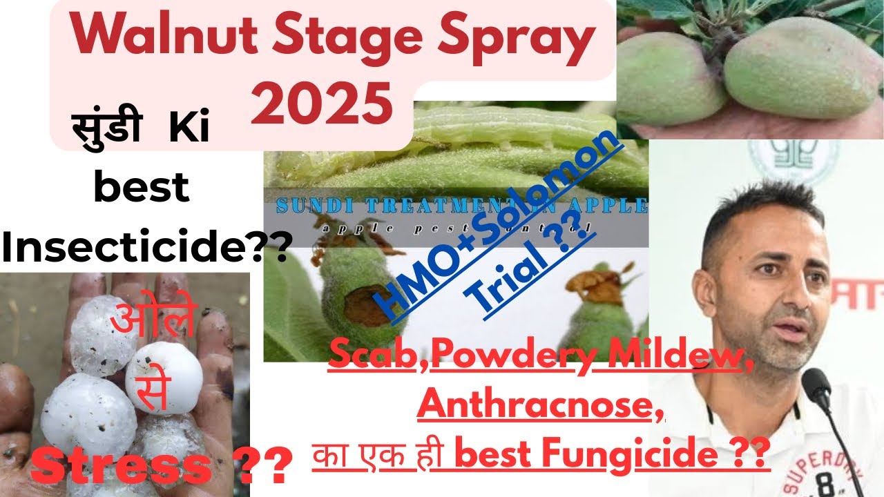 Walnut Stage Spray | Walnut Stage Spray Schedule 2025 |