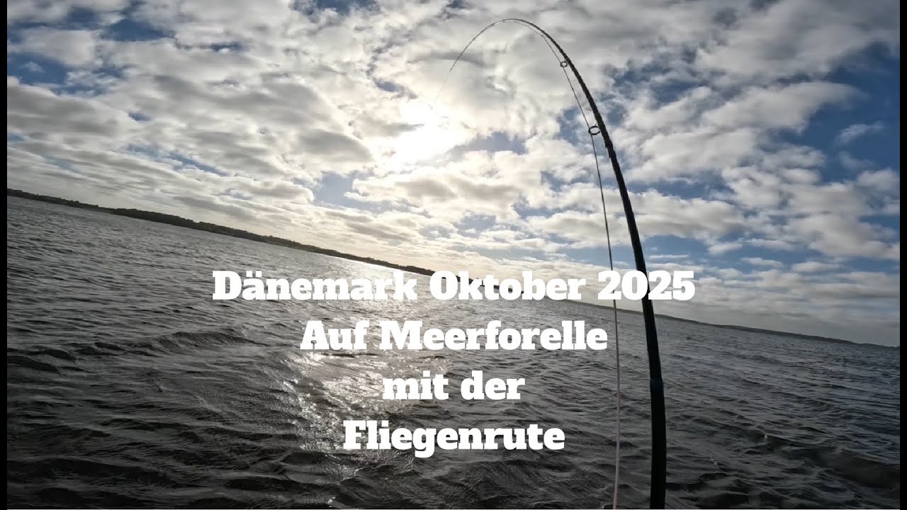 Dänemark Oktober 2025 - Auf Meerforelle mit der Fliegenrute