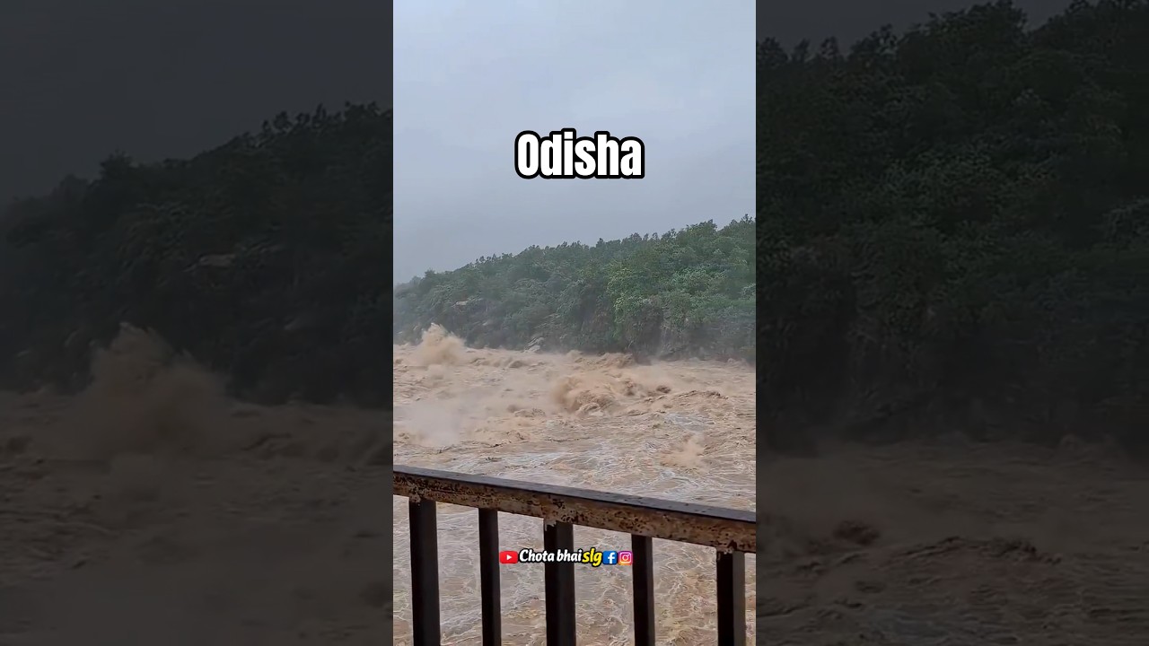 Odisha Flood Viral Video 🥺 #explore #viral #odisha #flood #shorts