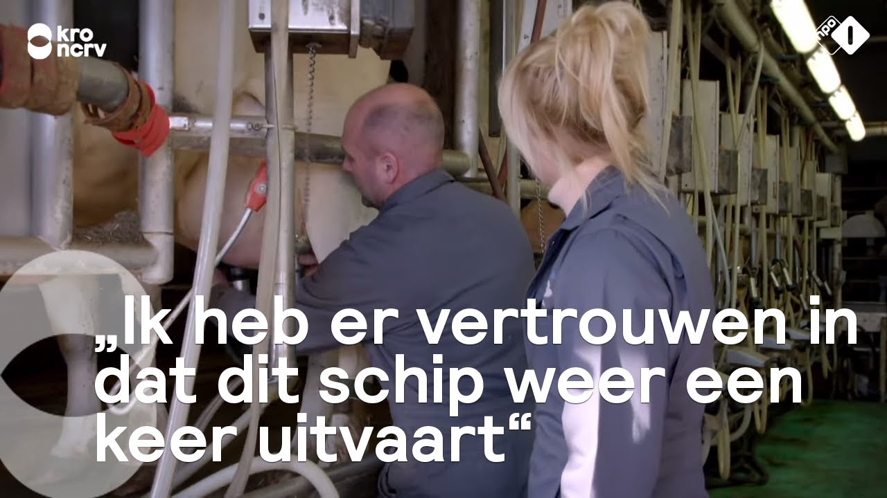 Zieke koeien kosten boer Riks anderhalve ton per jaar | Onze boerderij