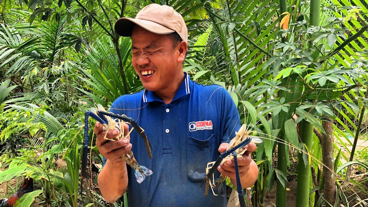 Anh Khiếm Thị  Đi BẮT Tôm Càng XANH Số 1 .Cao Thủ Bắt Tôm  / GBMT tap 64