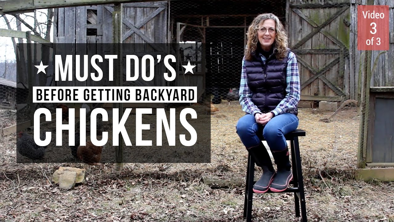 Must Do's Before Getting Chickens (Video 3 of 3)