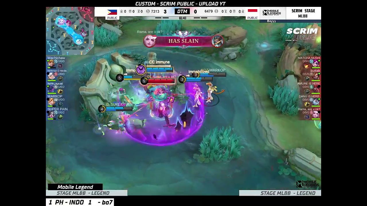 MATCH 3 - PH vs INDO - win PH