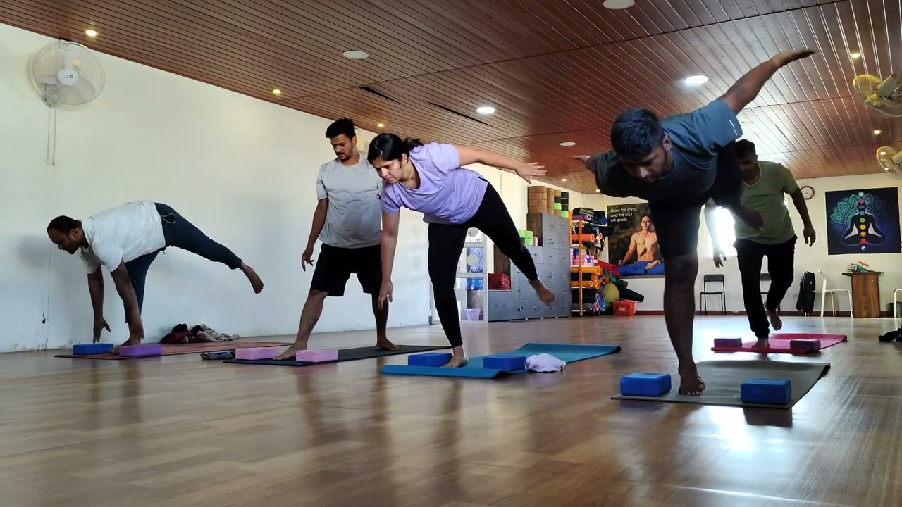 Ashtanga Vinyasa beginners to intermediate level 