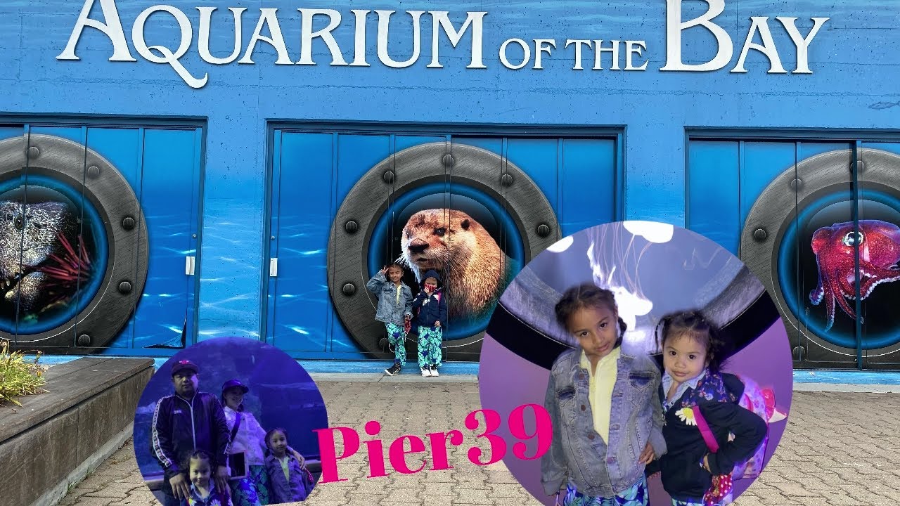 Aquarium of the bay/pier39|travel02//sweetie petite