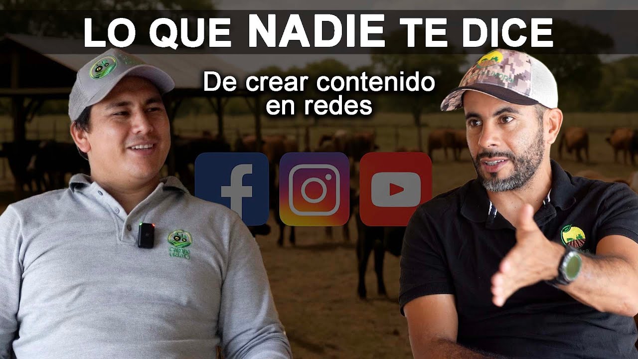 ¡LO QUE NADIE TE DICE de crear contenido!