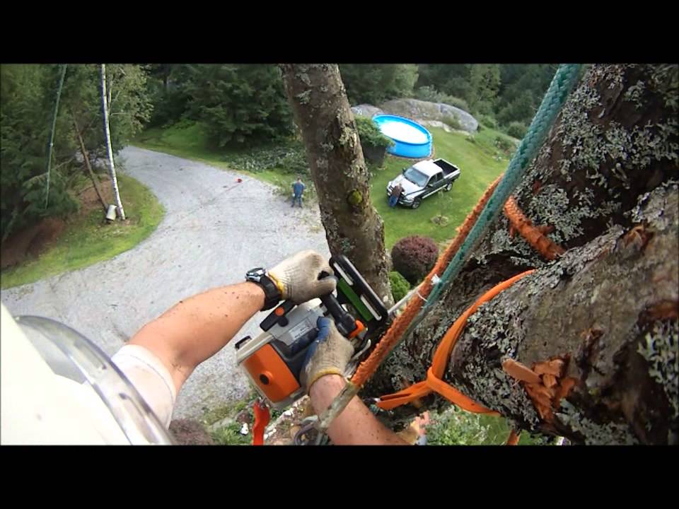 Red Maple Dismantle With Speedline