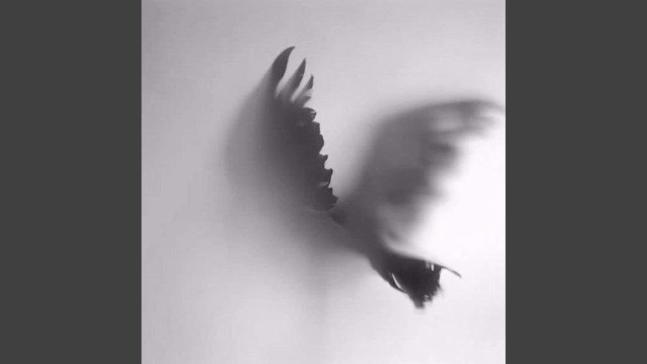 “equilibrio”