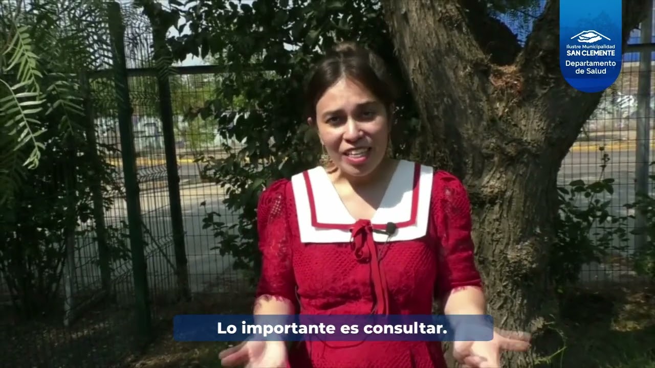 ENCARGADA PROGRAMA SALUD MENTAL GRACIELA ORÓSTICA PRESTACIONES EN APS
